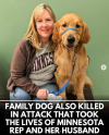 1750114805830.png