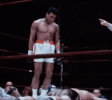 IMG_2831.gif