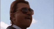 IMG_8086.gif