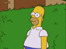 IMG_2436.gif