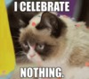 grumpy-cat-i-celebrate-nothing-gif.gif