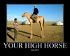 your-high-horse_1,2,i6.jpg