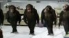 1238512403_dancing_chimps.gif