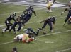 fumble swarm.jpeg