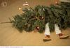 Man_stuck_underneath_fallen_Christmas_tree_swm021251.jpg