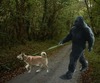 Bigfoot-and-Dogs1.png