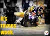 steelers_ravens_2013.jpg