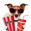 14355372-dog-watching-a-movie-with-popcorn-and-coke-Stock-Photo-cinema.jpg