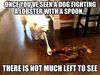 funny-picture-dog-lobster-fight.jpg