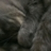 4eb5377971ad853ef07baa11f54d5af4_normal.jpe