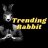 Trending_Rabbit