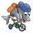 DolphinOnaTricycle