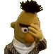 Bert Facepalm :burt: :burt: