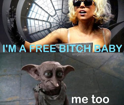 dobby_free_bitch.jpg