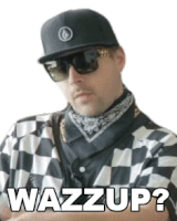 a man wearing sunglasses a hat and a checkered shirt says wazzup ?