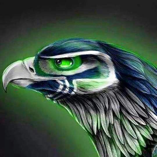 6a894a8ee0b2dbb11c5b550b68e7bd85--seahawks-fans-seahawks-football.jpg