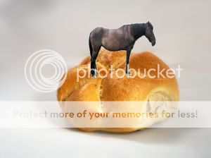 HorseRoll.jpg