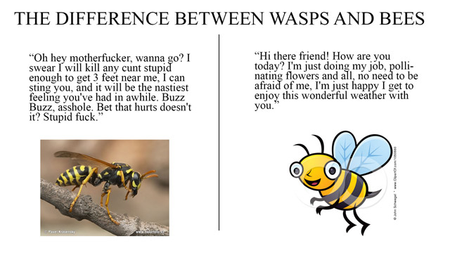 bees_vs_wasps.jpg