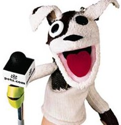 pets-com-sock-puppet.jpg