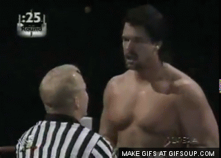 bart-gunn-knocks-out-bradshaw-as-part-of-wwes-brawl-for-all-which-made-bradshaw-jbl-look-like-a-total-bitch.gif