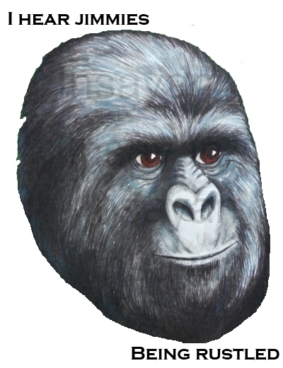 407.jpg