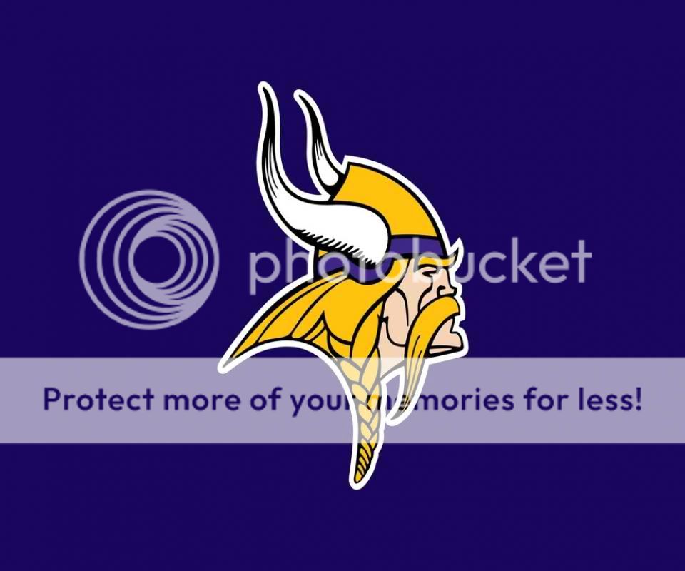 minnesota_vikings-1.jpg