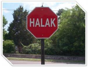 halak.jpg