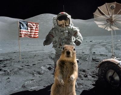 Squirrels%20Moon%20Landing.jpg