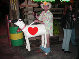 th_texaslogo-2.png