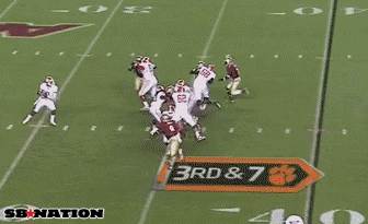 clemson_medium.gif