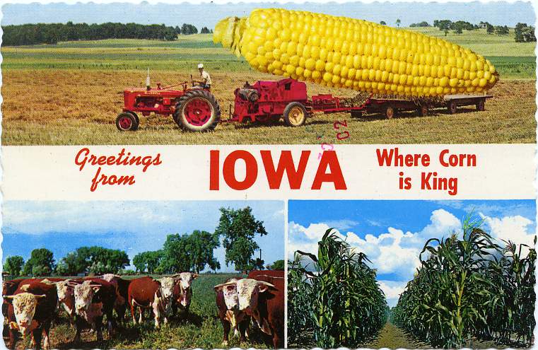 iowa.corn_.king_.jpg