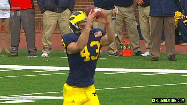 THE-MORTIFIED-PUNTER11.gif