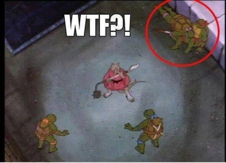 11-teenage-mutant-ninja-turtles-WTF.jpg