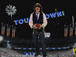 super bowl touchdown GIF by Tommy Wiseau