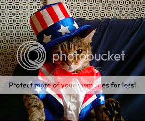 CatPatriotic01.jpg