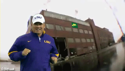 Ducks-Demolished.gif