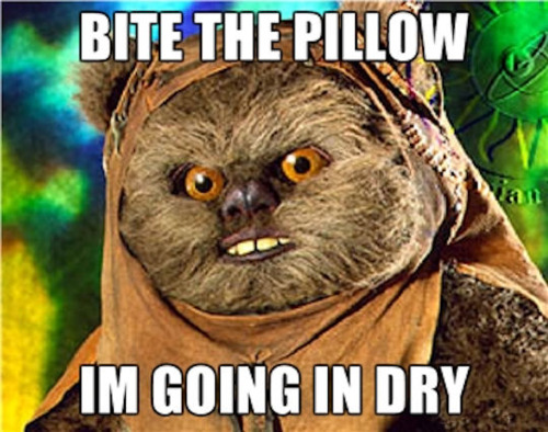 EWOK-ANAL.jpg