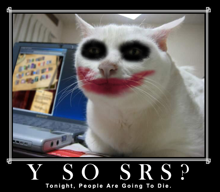 serious-cat-joker.jpg