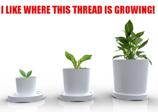 GrowingThread.jpg