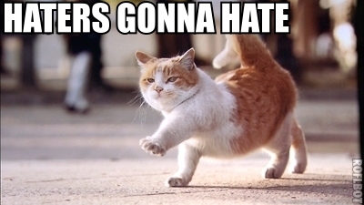 hater%2Bcat.jpg