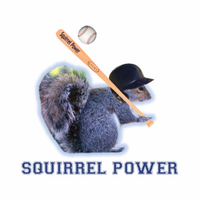 baseball_squirrel_power_photosculpture-p153550926288704953u3d6_400.jpg