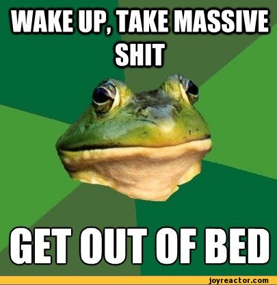 funny-pictures-auto-Foul-Bachelor-Frog-wake-up-476162.jpeg