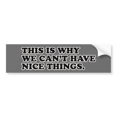 this_is_why_we_cant_have_nice_things_bumper_sticker-p128340583228941663trl0_400.jpg