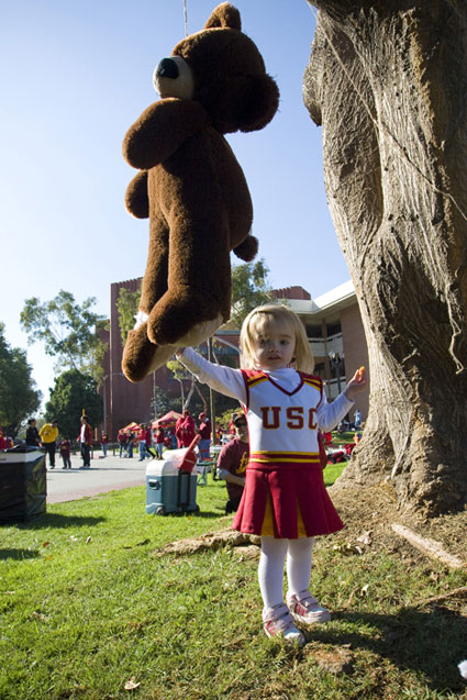 hanging-bruin-bear-fucla.jpg