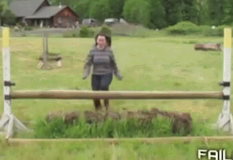 source.gif