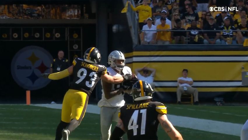 steelersdepot.com