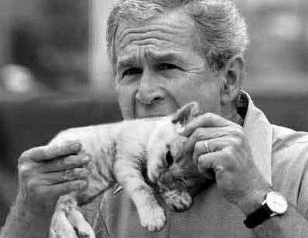 160907_George_Bush_Eat_s_Kittens.jpg