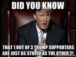abcd8822052bdf96ac604aed4d2f5a82--idiot-meme-election-memes.jpg