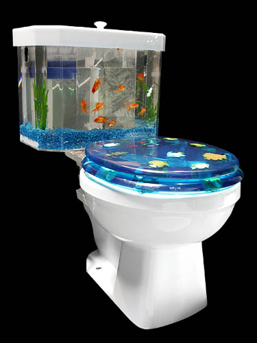 fish-bowl-toilet.jpg