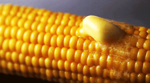 fdb04b1b7ac5d4f91380ad75d7c3c5d2.gif